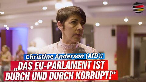 Christine Anderson(AfD):„Das EU-Parlament ist durch und durch korrupt!“@DK Politik🙈