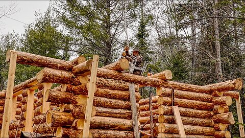 Building an Off Grid Log Cabin Alone Ep 15, Tie Beams, Maple Sugar, Family Self Reliance
