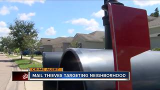 Neighbors report thieves stealing mail from boxes in Wesley Chapel neighborhood