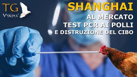 TG Verità - 28 Aprile 2022 - Shanghai: Test PCR ai polli e distruzione del cibo