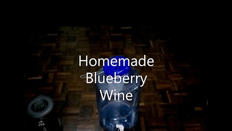 Homemade Blueberry Wine—Huge Money Saver