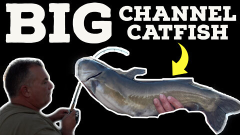 Catching a BIG Channel Catfish on ULTRALIGHT Tackle!