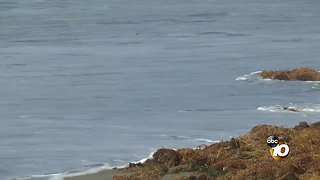 Surfer found unconscious, rescued at Pacific Beach-area surf park