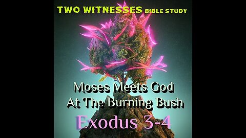 #141 🔥 Exodus 3-4 Moses Meets God At The Burning Bush 🌳 ⛰️ 🅹🅴🆂🆄🆂
