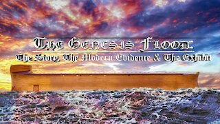 The Genesis Flood: The Story, The Modern Evidence & The Exhibit