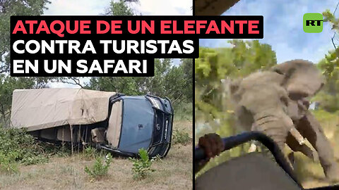 Una mujer muere atacada por un elefante durante un safari en África