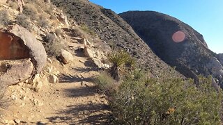 Ryan Mountain, Joshua Tree National Park