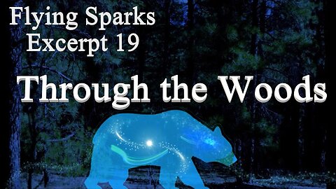 Through the Woods - Excerpt 19- Flying Sparks - A Novel – A Night Time Journey