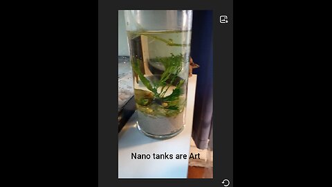 Nano Tanks