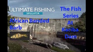 Ultimate Fishing Simulator: The Fish - Kariba Dam - African Banded Barb - [00065]