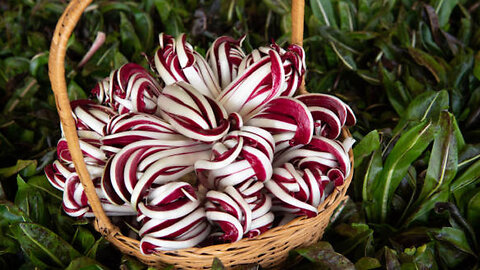 Health Benefits of Radicchio