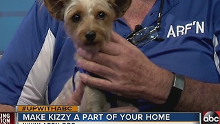 Say hi to Kizzy, our Nov. 27 Rescues in Action star