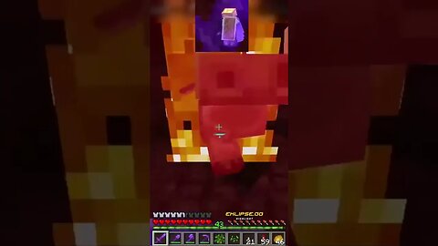 More Zoglin Attacks #shorts #minecraft