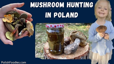 Mushroom Hunting - One Of The Best Summer Activities In Poland