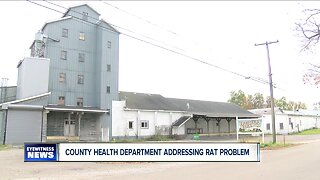 Chautauqua County health officials looking to eliminate Sherman rat problem