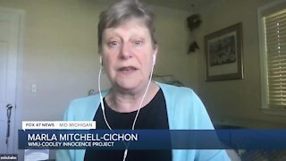 Marla Mitchell-Cichon, Professor at WMU Cooley Law School