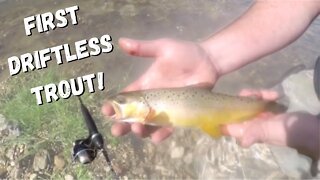 First Driftless Trout! Trout Fishing Wisconsin!