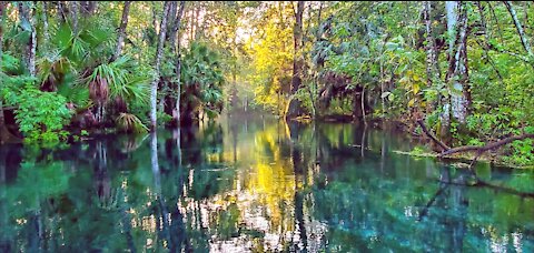 Silver Springs State Park