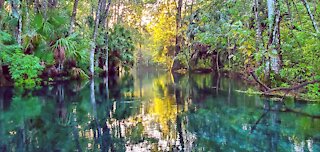 Silver Springs State Park