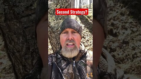 No Gobbling? Do This! #turkeyhunting #hunting #turkeyseason #shooting #longbeards