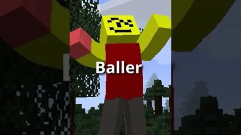 STOP posting about baller Minecraft edition