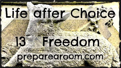 Life after Choice Video 13: Freedom