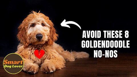 10 Common Dog Health Issues Every Pet Owner Should Know | Dog Training Tips