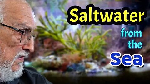 We Created a 100% Natural Salt Water Aquarium