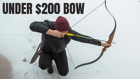 A SOLID RECURVE bow for under $200 (SAS Maverick Recurve)