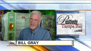 Positivey Tampa Bay Game Changer: Bill Gray