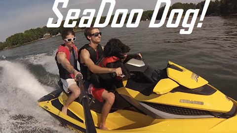 Dog loves to go on jet ski rides