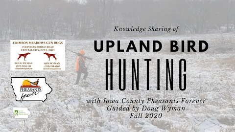 Iowa Outdoor Adventures - Doug Wyman Iowa County Pheasant Hunt