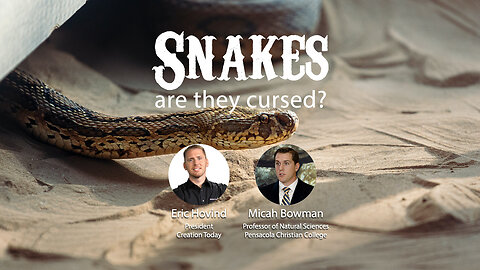 Snakes - Are They Cursed? | Eric Hovind & Micah Bowman | Creation Today Show #212