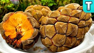 Top 10 Fruits You've Never Heard of Part 27