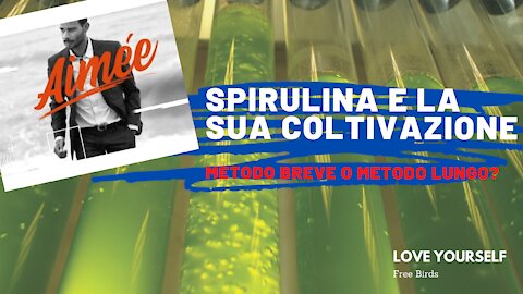 Spirulina - Come garantire l'efficacia del principio attivo?