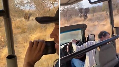 Terrifying Moment Elephant Chases Tourists On Safari In South Africa