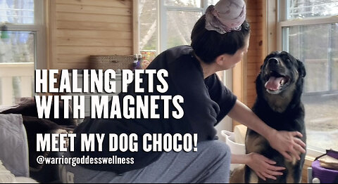 HEALING PETS WITH MAGNETS!