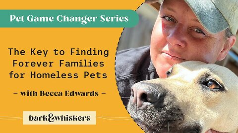 The Key to Finding Forever Families for Homeless Pets with Becca Edwards