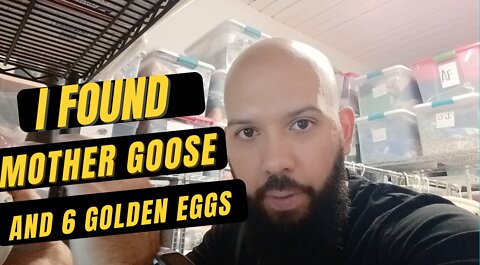 I bought 6 Golden Goose sneakers to resell