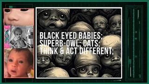 BLACK EYED BABIES-SUPERB-OWL-CATS-THInk ACT different