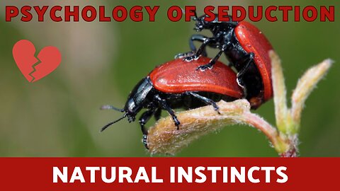 Psychology Of Seduction Full Course - Natural Instincts