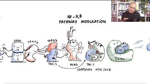 Anti-Inflammatory Effects of Ashwagandha