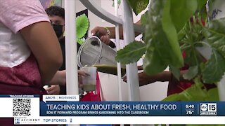 Indoor gardens bring fresh, healthy food to Valley schools