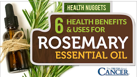 The Truth About Cancer: Health Nugget 16 - 6 Health Benefits & Uses For Rosemary Essential Oil