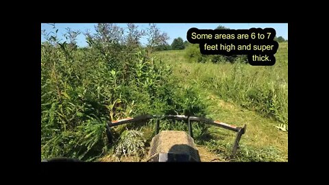 Bush Hogging 7 foot jungle with Bobcat T650 & Blue Diamond Severe Duty Brush cutter! (PART 2)