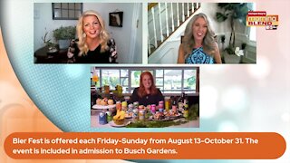Busch Gardens Bier Fest | Morning Blend