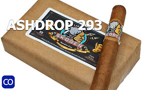 CigarAndPipes CO Ashdrop 293