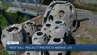 Hernando County's reef ball project helps protect marine life