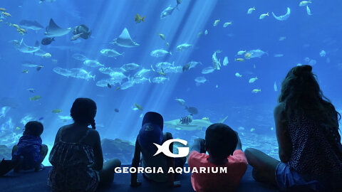 Georgia Aquarium