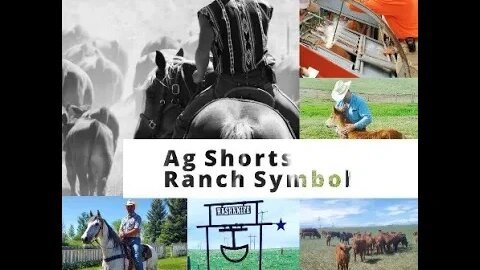 Ranch Symbol - Ag Shorts